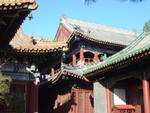 DSC04936