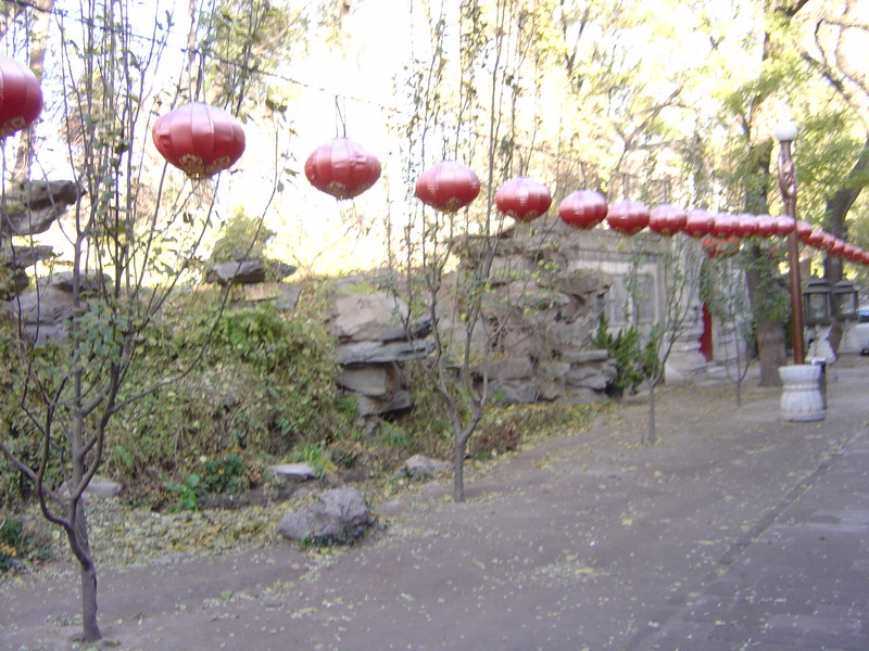 DSC04737