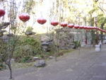DSC04737