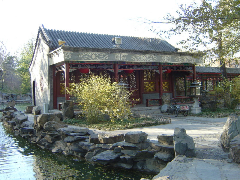 DSC04743