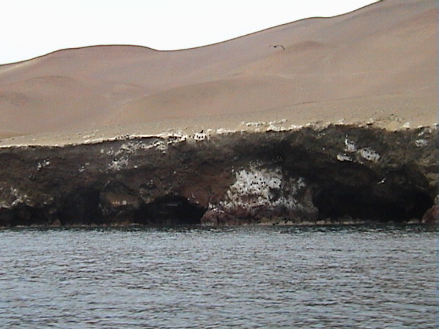 DSC00373