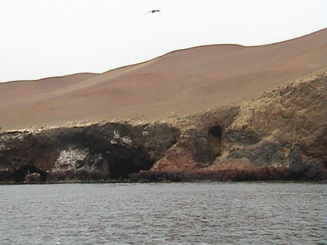 DSC00374