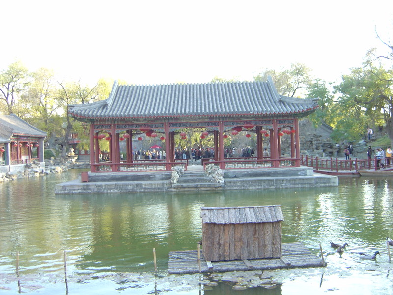 DSC04767