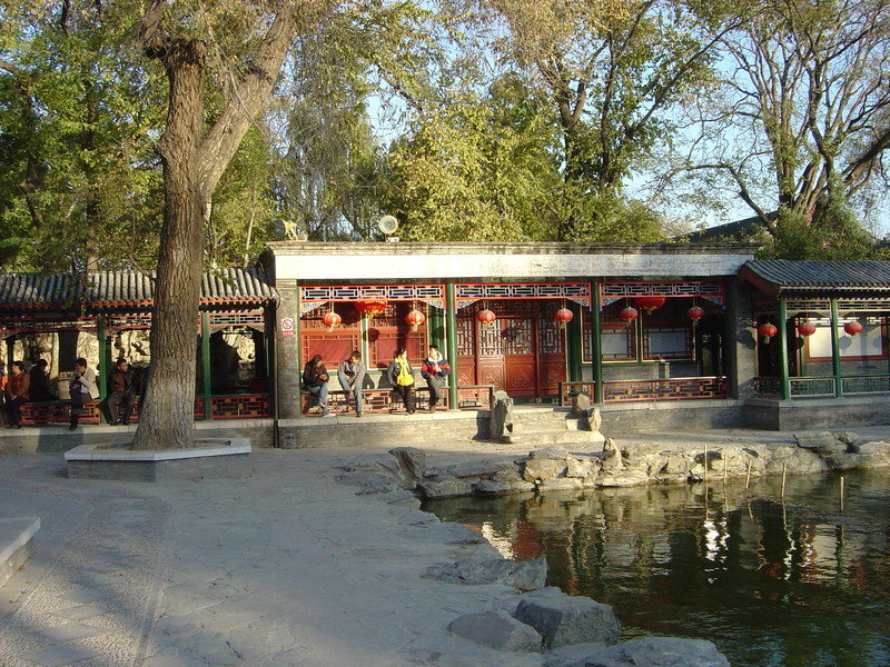 DSC04768