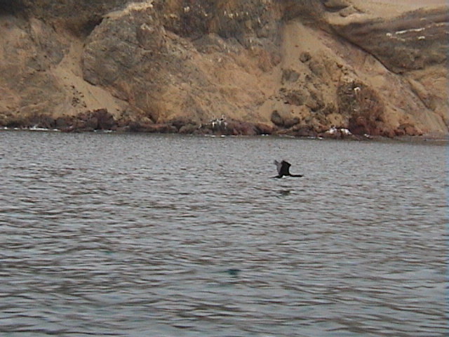 DSC00375