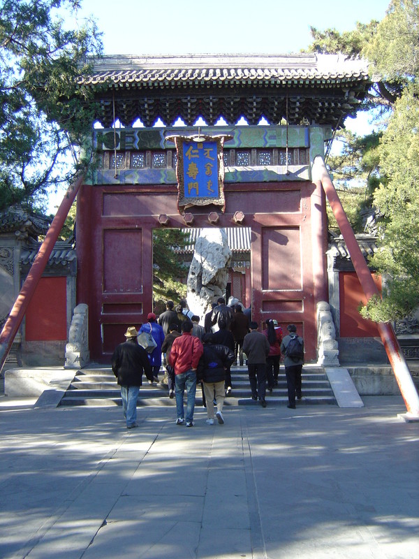 DSC04842