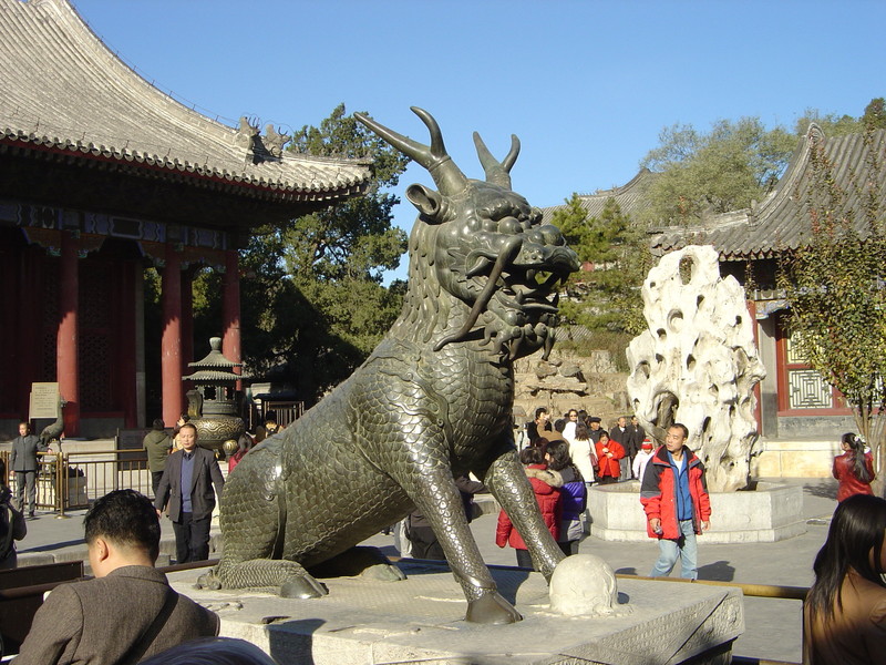 DSC04843