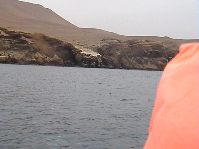 DSC00376