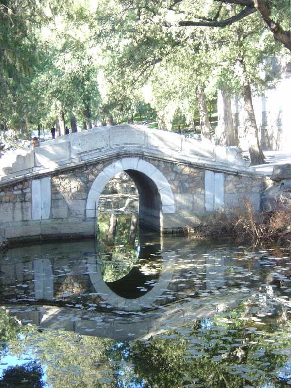 DSC04863