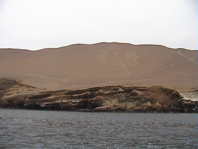 DSC00377