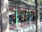 DSC04869