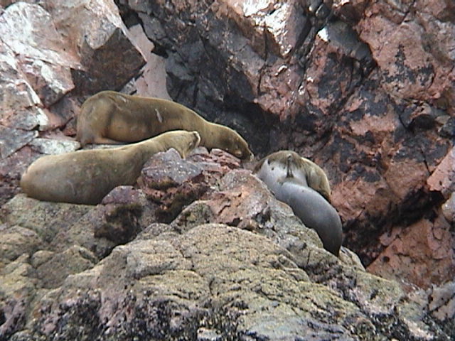 DSC00380