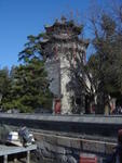 DSC04916
