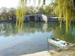 DSC04920