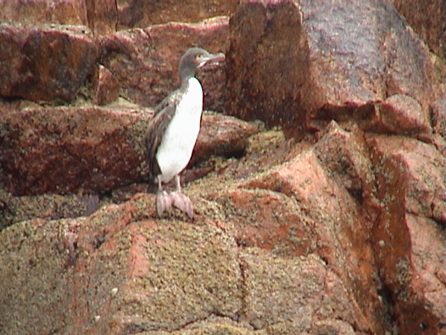 DSC00385