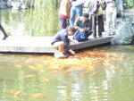 DSC05211