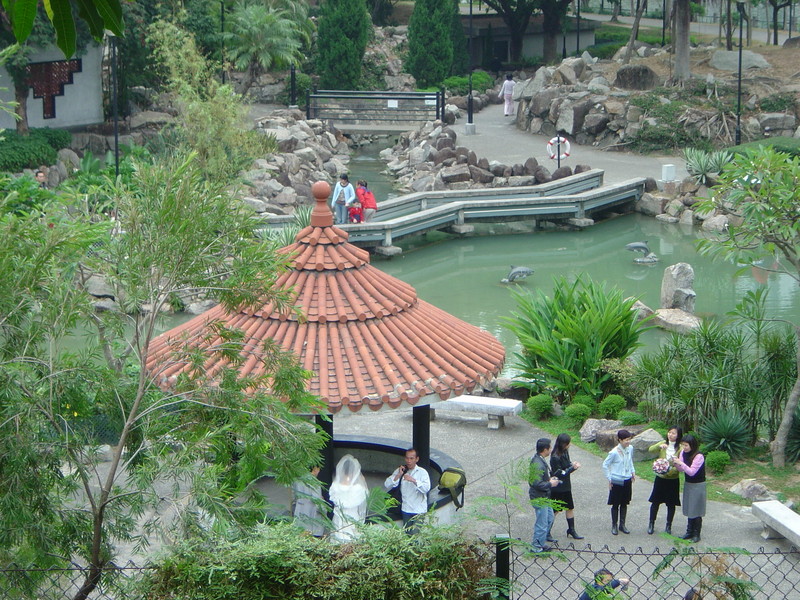 DSC05513
