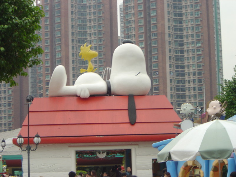 DSC05589