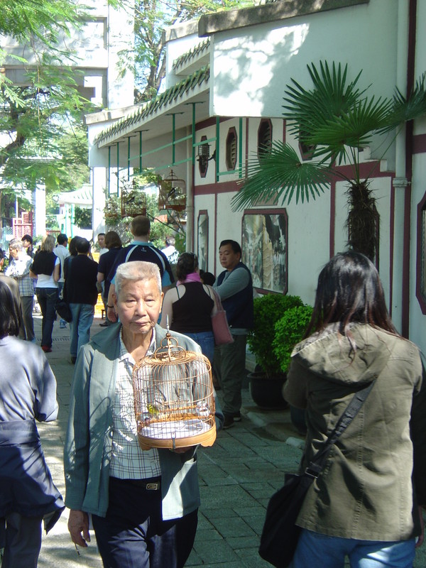 DSC05622