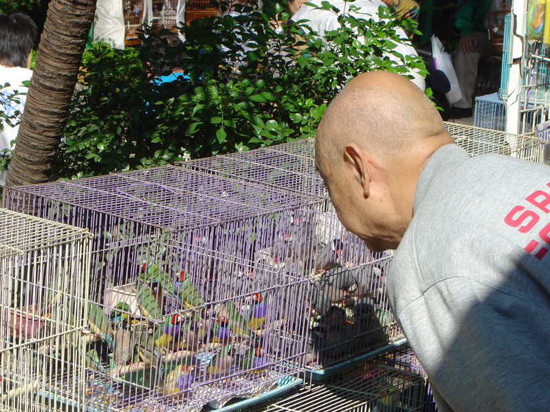 DSC05634