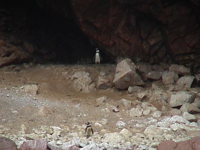 DSC00389