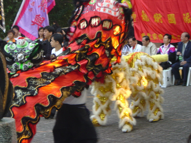 DSC05678