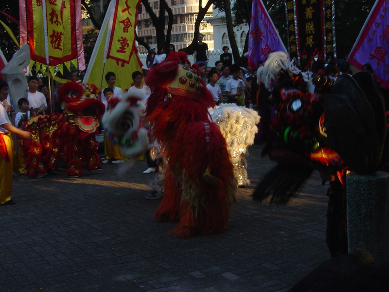 DSC05681