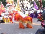DSC05682