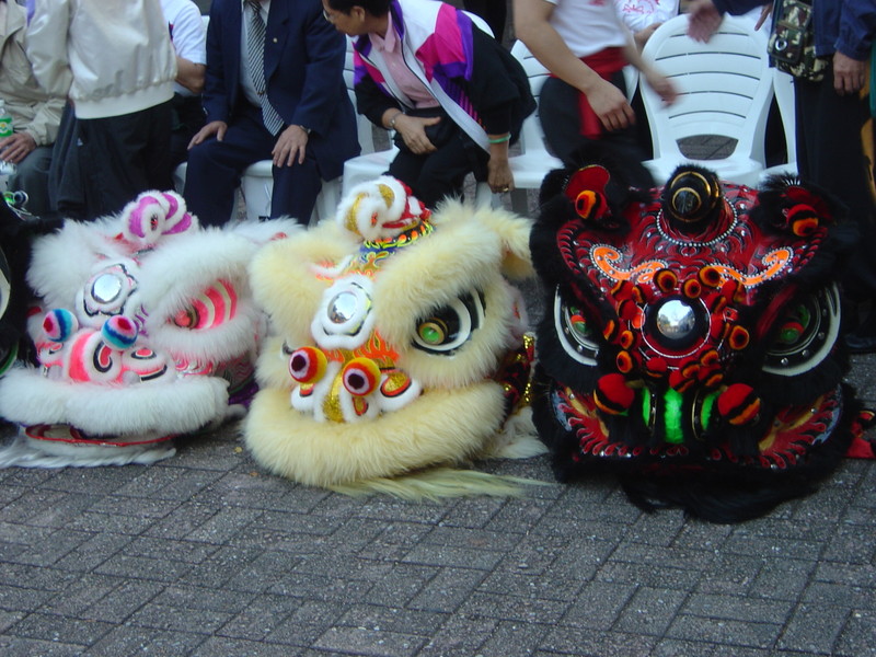 DSC05683