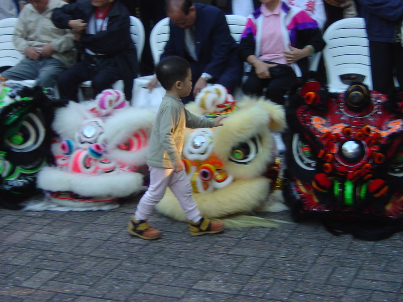 DSC05685