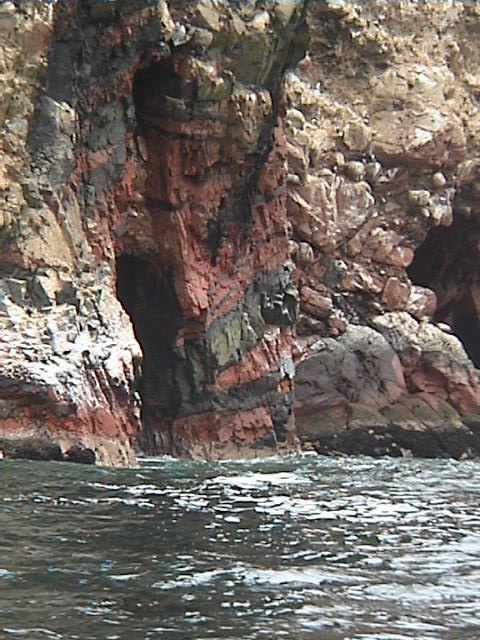 DSC00394