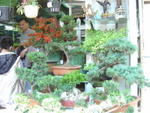 DSC05608