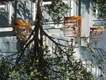 DSC05617