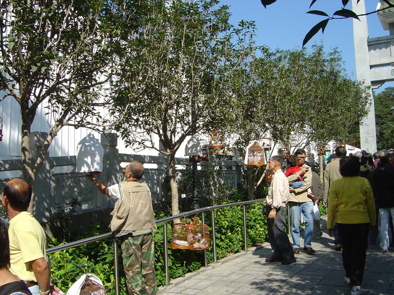 DSC05618