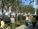 DSC05618
