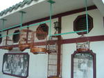 DSC05621