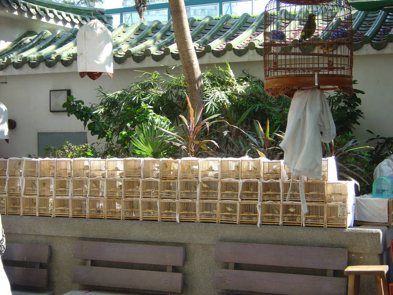 DSC05625