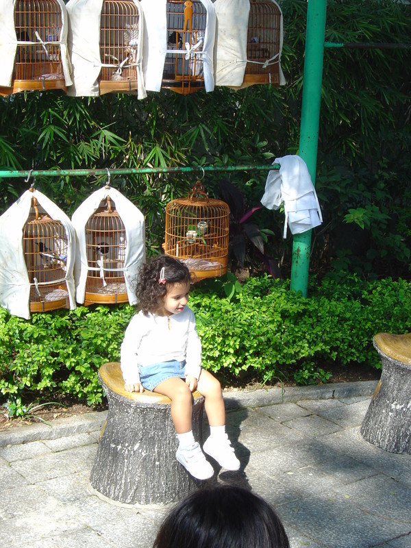 DSC05627