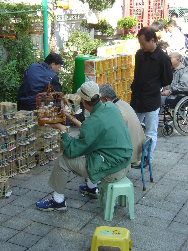 DSC05629