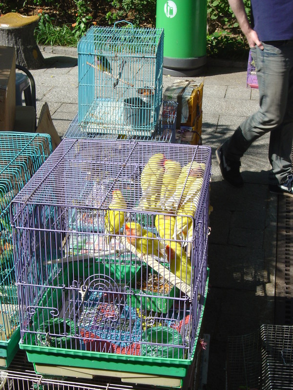 DSC05631