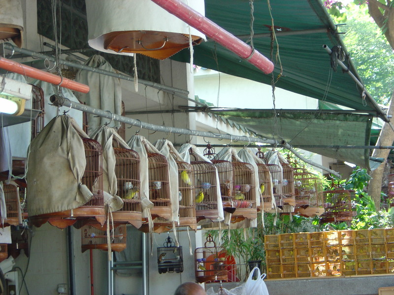 DSC05633