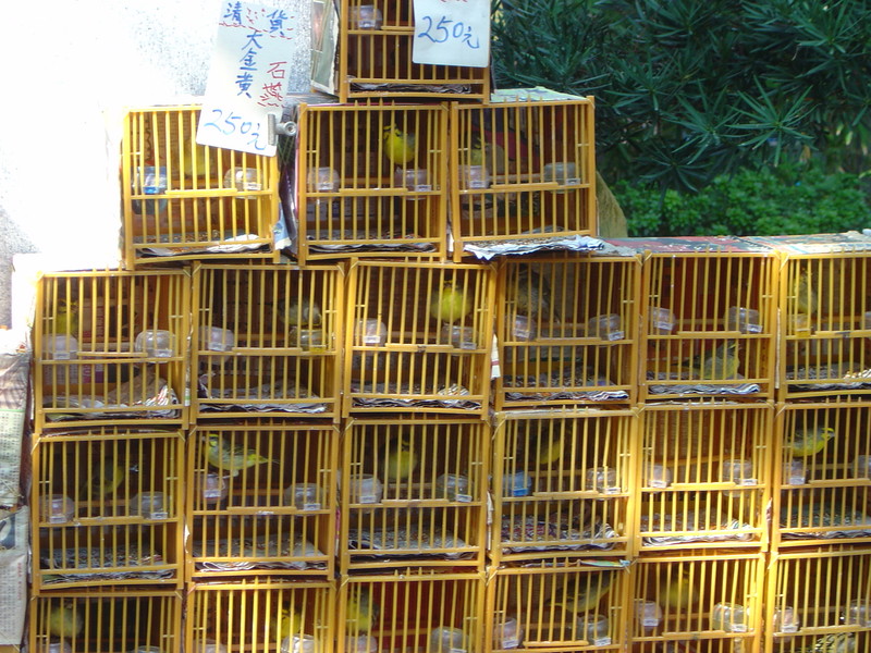 DSC05635