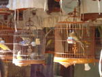 DSC05638