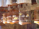 DSC05639
