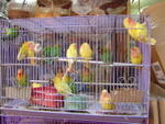 DSC05642