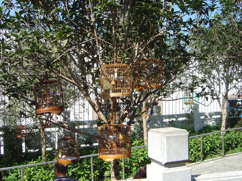 DSC05644