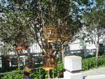 DSC05644