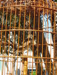 DSC05645