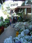DSC05647