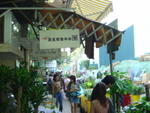 DSC05648